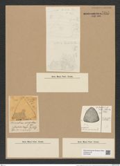Triceratium irregulare Grev. (de-Toni-Nr.: Genus 140, Species 3764) Zeichnungen Sammlung Grunow Nr. 7281 (NHMW-BOT-W0376299)